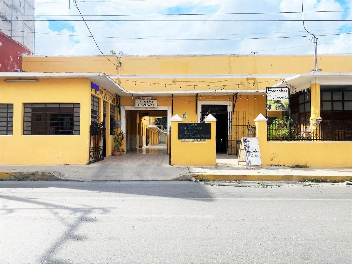 Oyo Posada Espinosa, Merida, Parque De Santa Ana